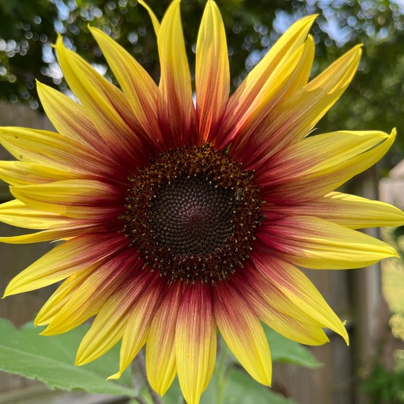 Extra shipping label - Picture 2 of 2